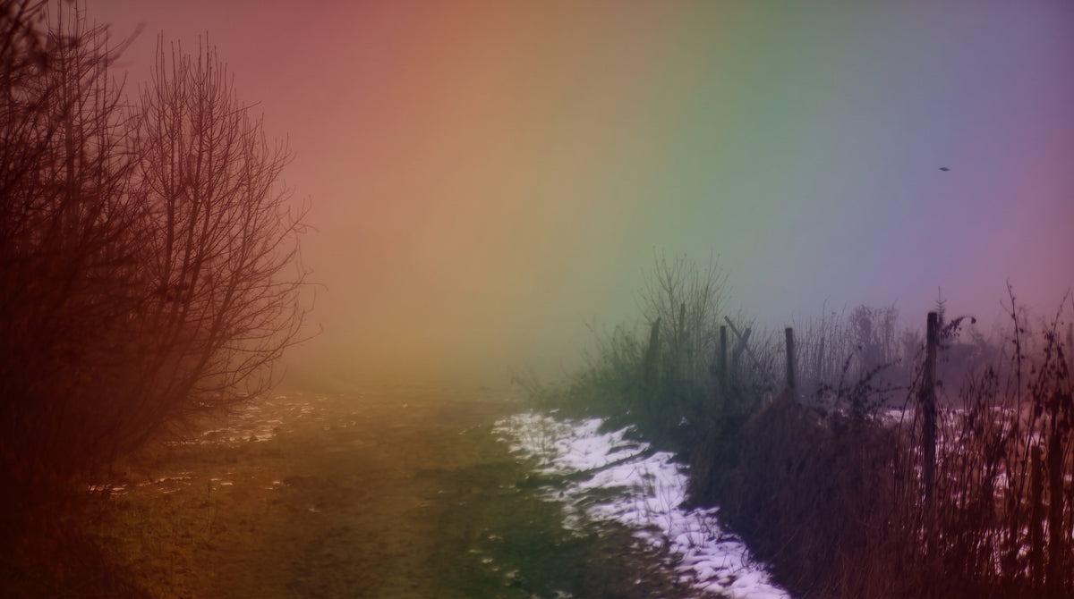 Photomontage/graphy