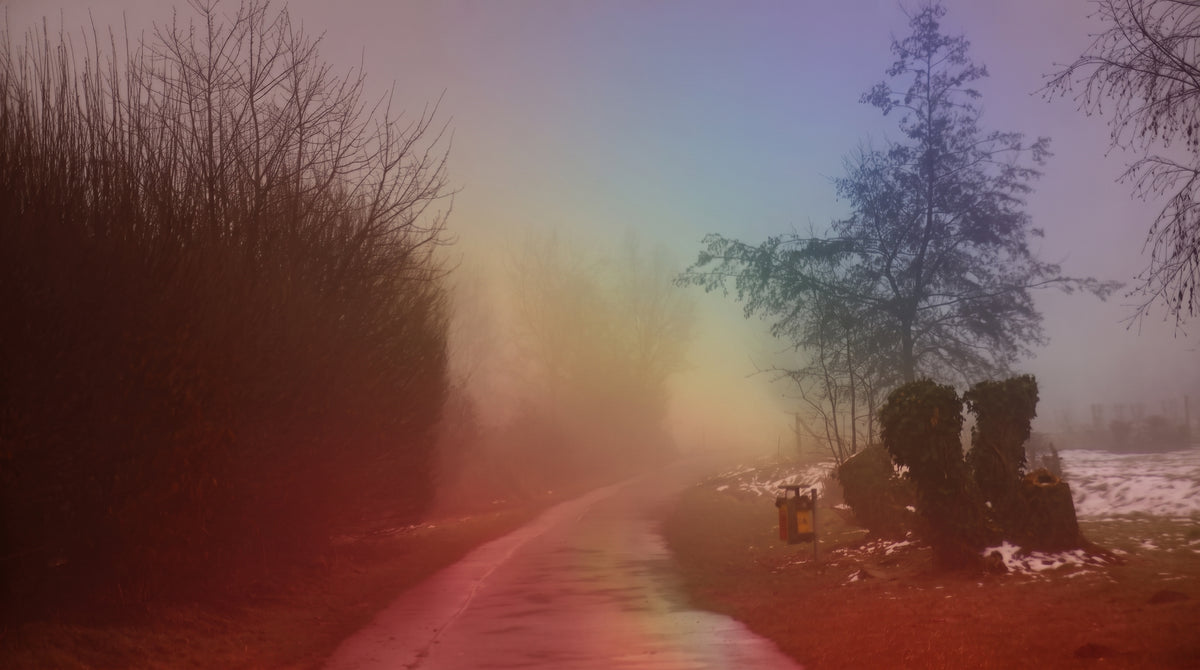 Photomontage/graphy